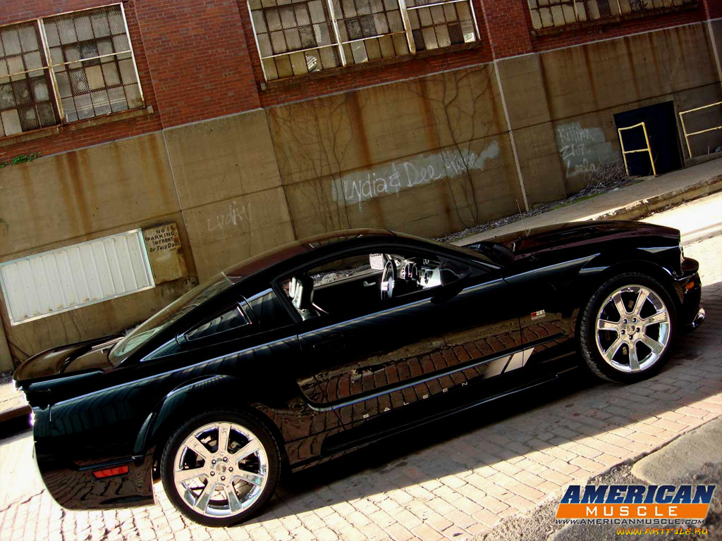 , mustang